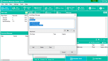 Matrix WhatsApp Messages